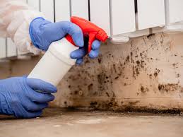  Arcadia, SC Mold Prevention & Removal Pros